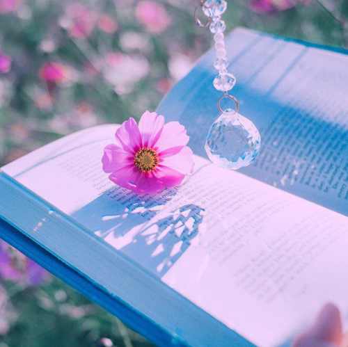 دانلود آهنگ شمعدونی سامان